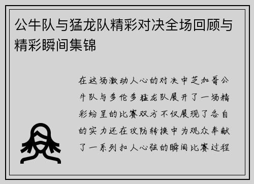 公牛队与猛龙队精彩对决全场回顾与精彩瞬间集锦