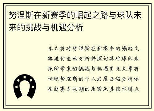 努涅斯在新赛季的崛起之路与球队未来的挑战与机遇分析
