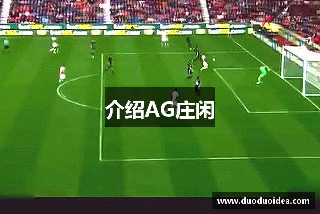介绍AG庄闲